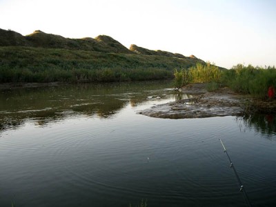Сырдарьинская рыбалка на мутном канале