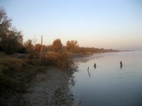 Берег реки Сырдарья