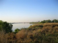 Река Сырдарья 7 июля 2017 года