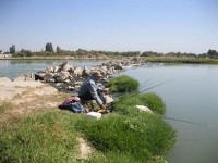 Рыбалка на реке Сырдарья Узбекистан